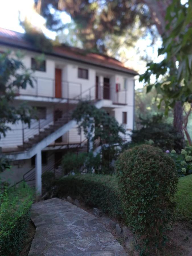 San Martín de ValdeiglesiasEl Mirador De Bachaアパートメント エクステリア 写真