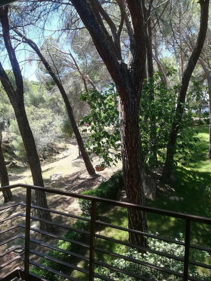 San Martín de ValdeiglesiasEl Mirador De Bachaアパートメント エクステリア 写真